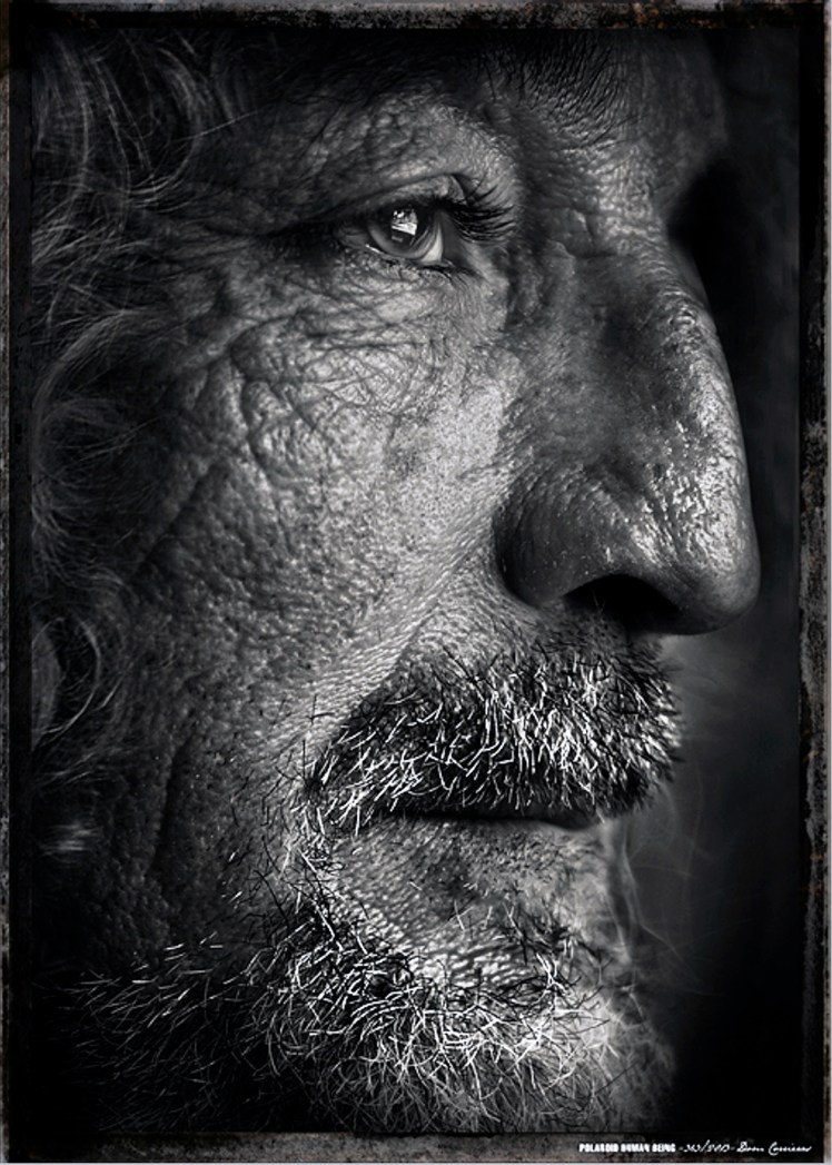 Dom-By Ferial Vitrine de Lecteur Corrieras.jpg