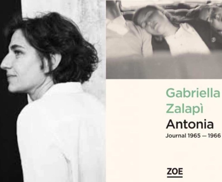 51503776_2351361111750723_7855863632448454656_n